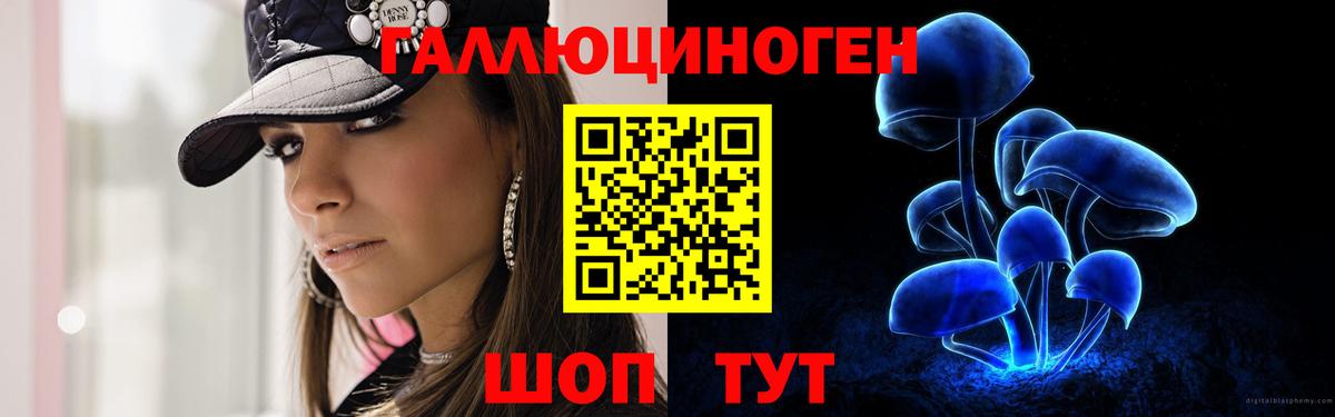 хочу   Вход с VPN  Соль-Илецк  Галлюциногенные грибы прущие грибы  Галлюциногенные грибы прущие грибы 